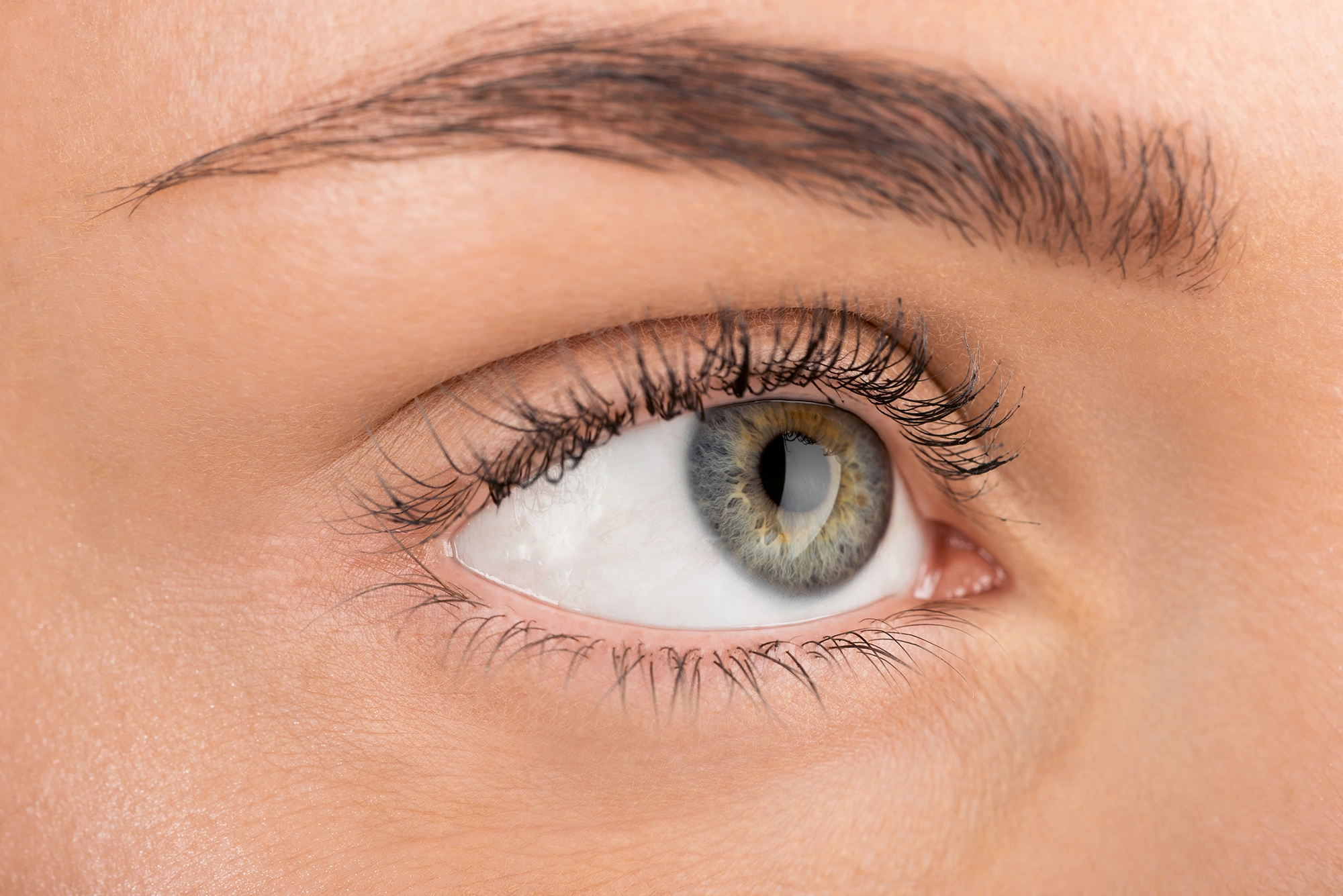 Brow & Lash